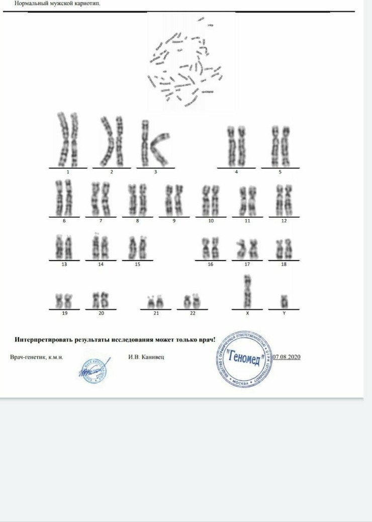 Кариотип сдать анализ