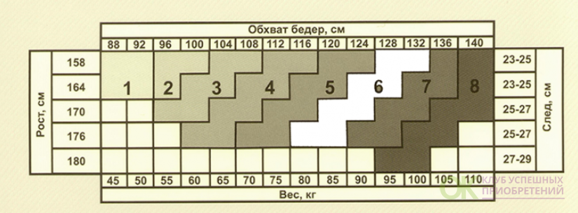 Какой размер колготок. Колготки Эра Размерная сетка. Колготки Эра Размерная сетка женские. Размеры колготок женских. Колготки 3 размер.