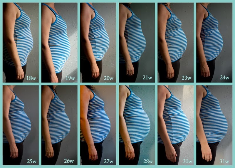 Фото живота при беременности по месяцам фото