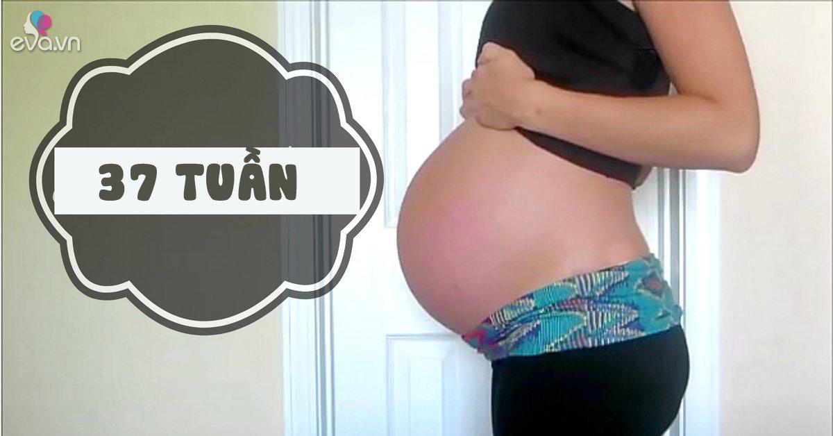 40 недель 4. 20 Weeks pregnant табличка. 37 Неделя беременности Беби лента.