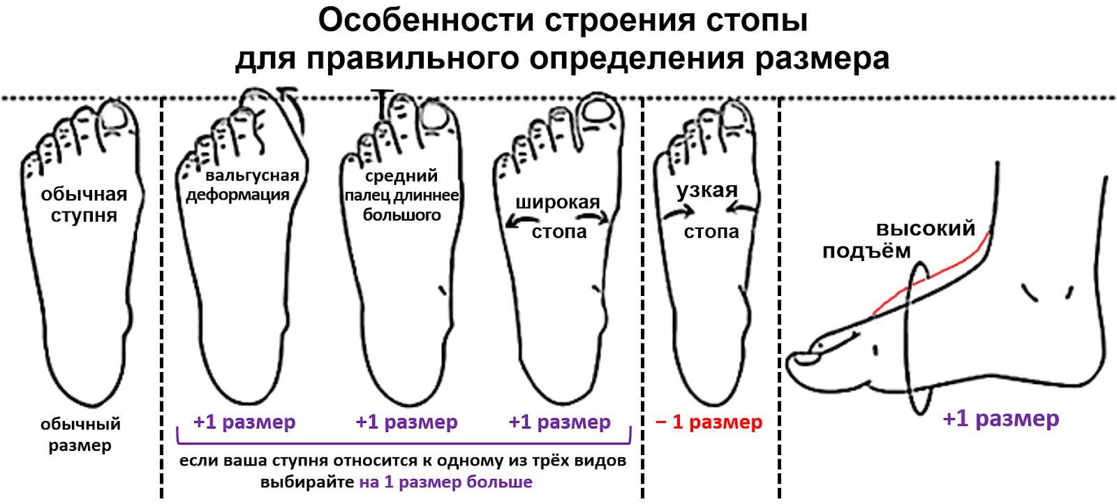 какой размер обуви у тебя такой и член фото 59