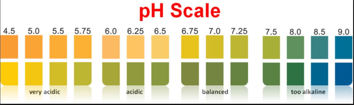 Ph 5.5. Шкала PH мочи. Шкала кислотности PH мочи. Цветная шкала РН. PH полоски шкала.