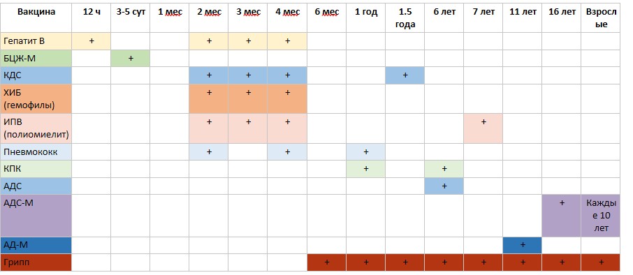 Карта прививок в беларуси для детей
