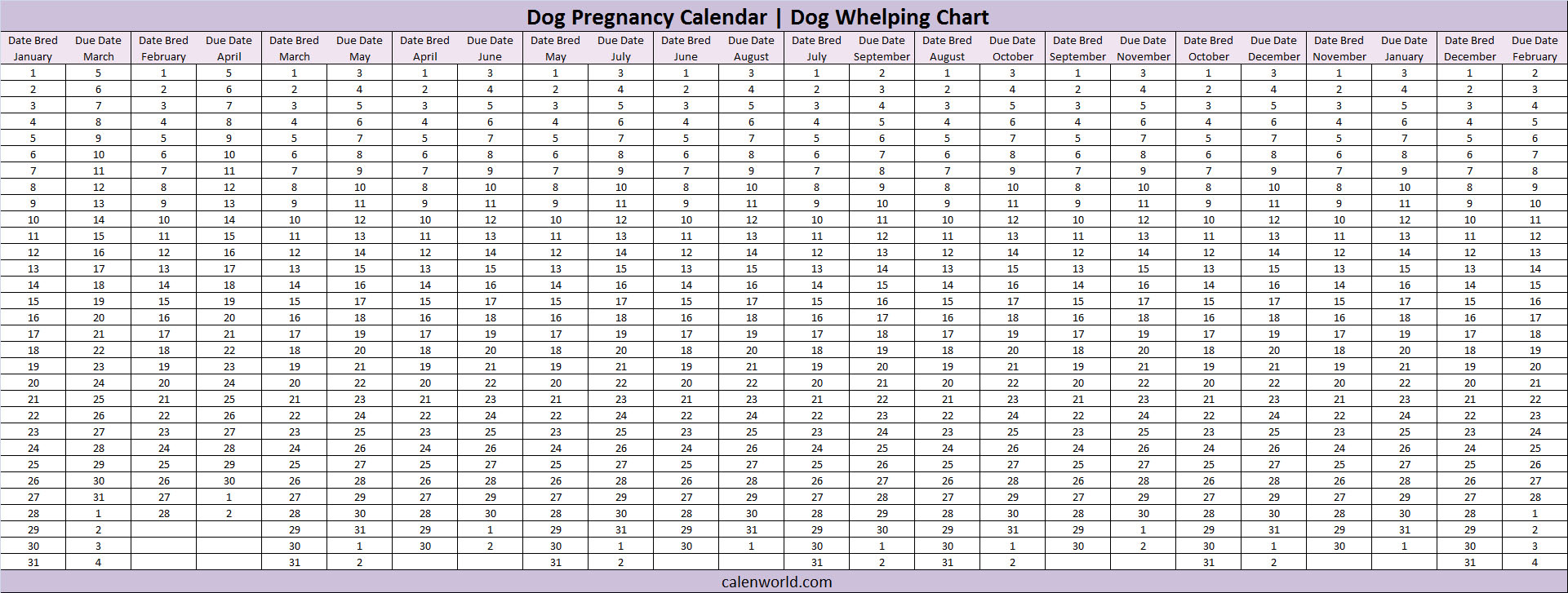 Календарь родов. Таблица беременности собаки. Таблица вязки и родов у собак. Таблица развития беременности собаки по дням. Таблица вязок и щенения собаки.