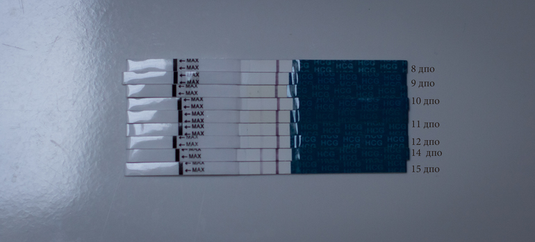 Тест после медикаментозного. Тест на беременность ДПО. Тесты на беременность по дням. После укола ХГЧ. Тест на ХГЧ.
