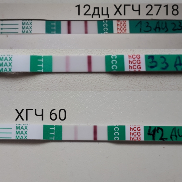 25 день после. Тест на ХГЧ. Тест полоски ХГЧ. Динамика ХГЧ. Динамика ХГЧ при бхб.
