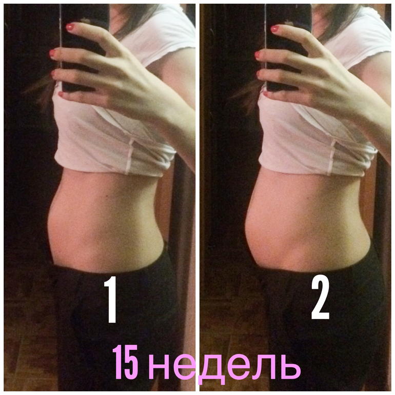 Фото живот в 16 недель беременности фото