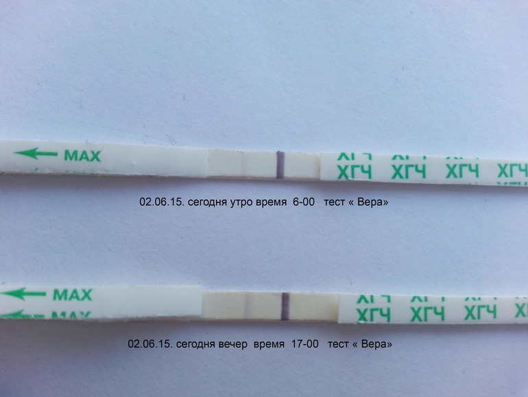 Насколько точны тесты. Тест на беременность утром и вечером. Тест на беременность до задержки. Тест на беременность до задержки вечером.