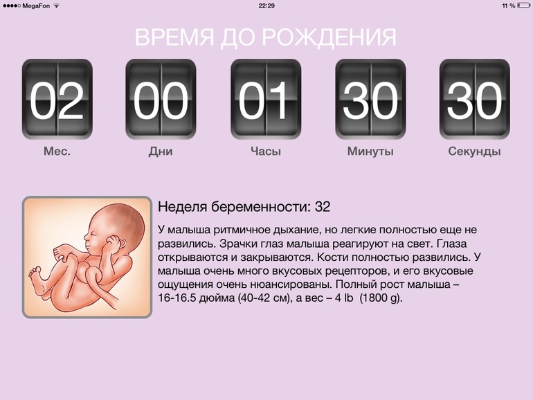 32 недели беременности какой. 32 Неделя беременности месяц. 32 Неделя беременности сколько. 32 Недели 2 дня беременности.
