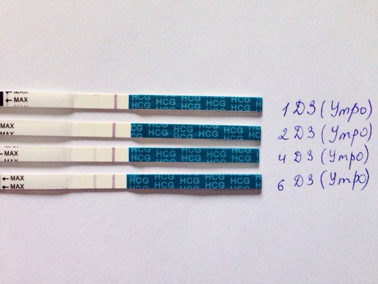 На каком дне задержки делать тест. Тест на беременность в первый день задержки. Покажет ли тест на беременность в первый день задержки. Тест на беременность при задержке 1 день. 4 Дня задержки покажет ли тест беременность.