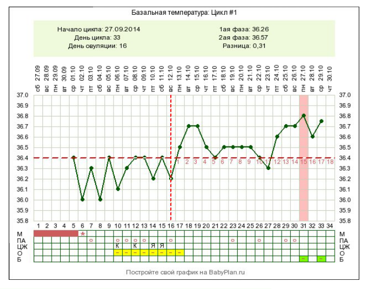 Бт при овуляции график фото до и после