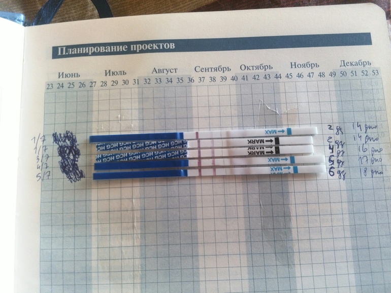 5 беременность форум. Тест на беременность на 6 день после овуляции. Динамика тестов на беременность по дням с 1 ДЗ. Тест на беременность ДЗ. Динамика китайских тестов на беременность.