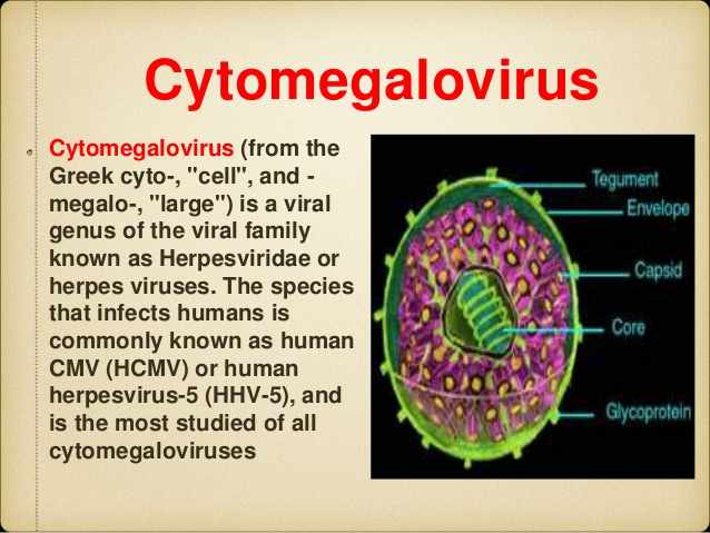 Цитомегаловирус. Цитомегаловирус насморк. Цитомегаловирус g.