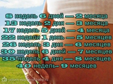 16 недель беременности сколько месяцев фото