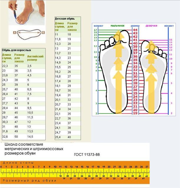 48 размер ноги. Размерная сетка обуви стандарт. Размерная сетка ГОСТ обуви мужской по стельке таблица размеров. Размерная шкала обуви для детей. Таблица соответствия размеров обуви и длины стопы.