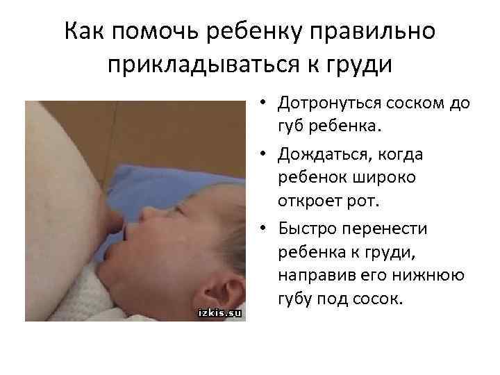 Как прикладывать к груди. Как прикладывать ребенка кгрудт. Как правильно прикладывать ребенка к груди. Правильное приложение ребенка к груди. Приложить ребенка к груди.