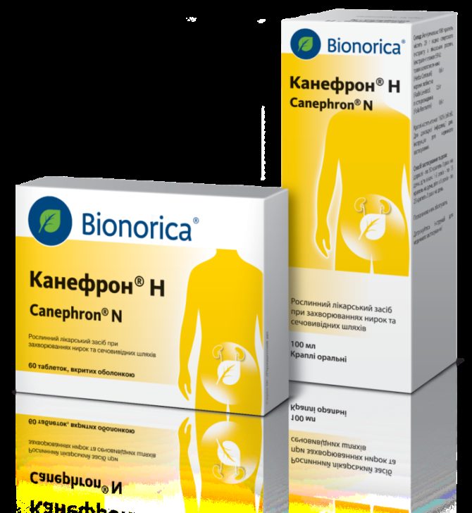 Канефрон при цистите. Канефрон гомеопатический препарат. Препараты от цистита у женщин канефрон. Цистит канефрон. Канефрон капсулы.