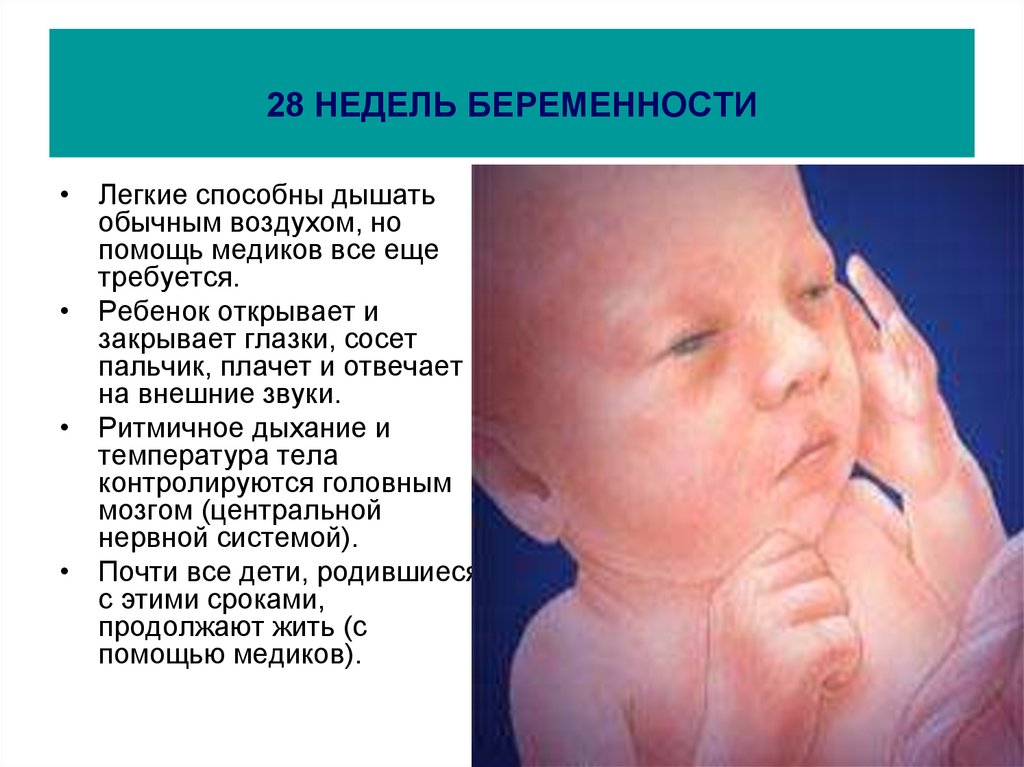 Ребенок на 28 неделе беременности. Вес ребёнка в 28 недель беременности. Беременность 28 ненедель вес плода.