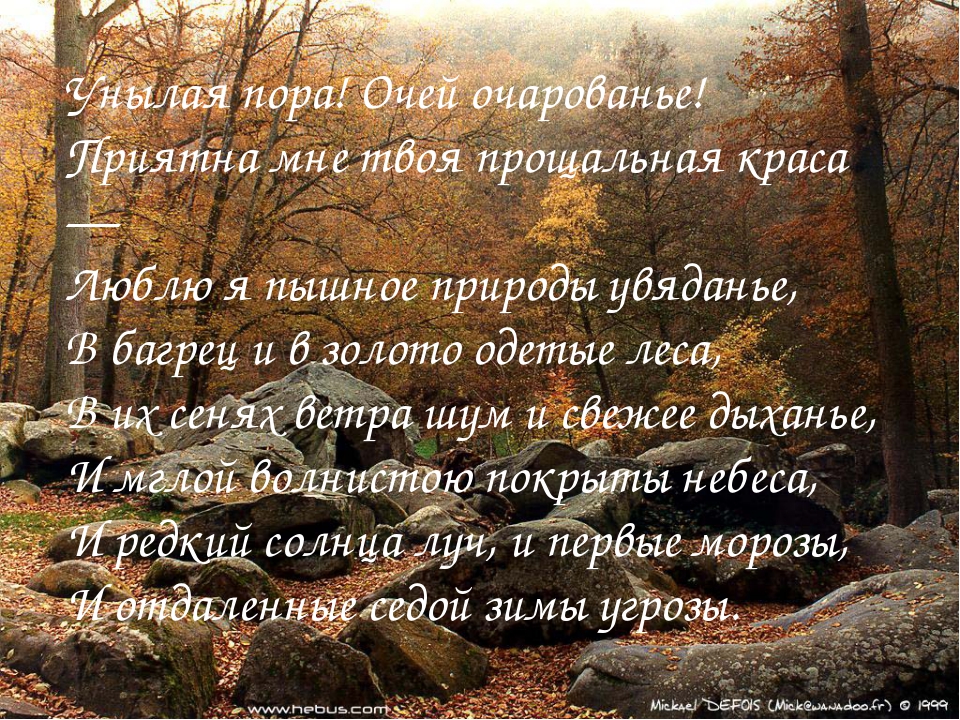 Стихотворение пора очарования. Стих прекрасная пора очей. Осенняя пора отрывок. «Волшебный край, очей очарованье» стих. Унылая пора очей очарованье стихотворение текст.