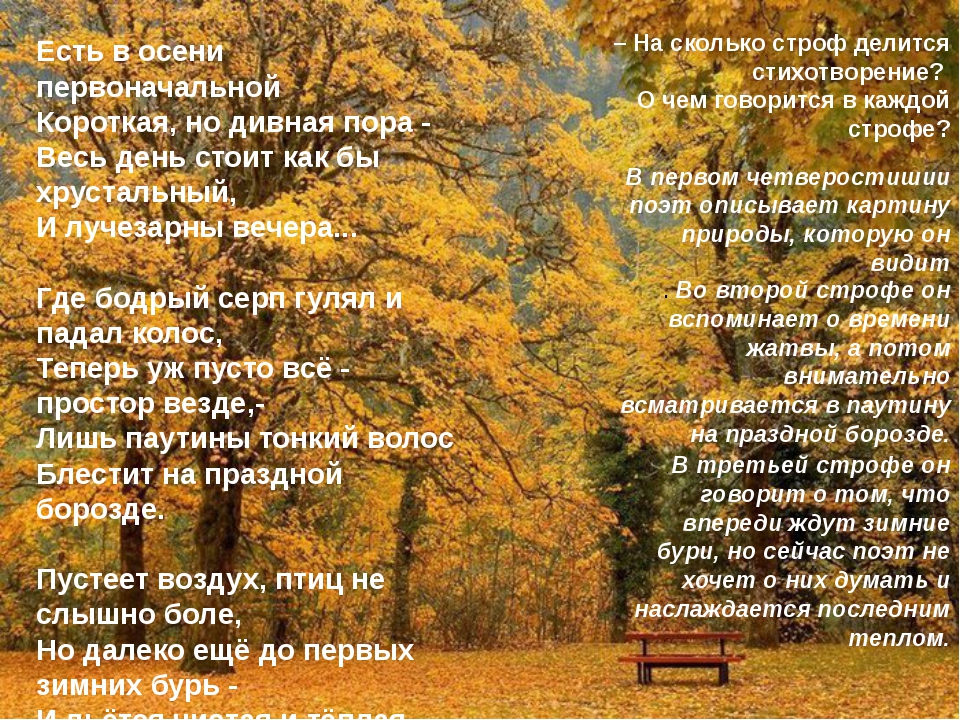 Стихотворение ставшего времени. Стихотворение про осень. Тютчев осень стихотворение. Стихотворение есть в осени. Тютчев стихи про осень.