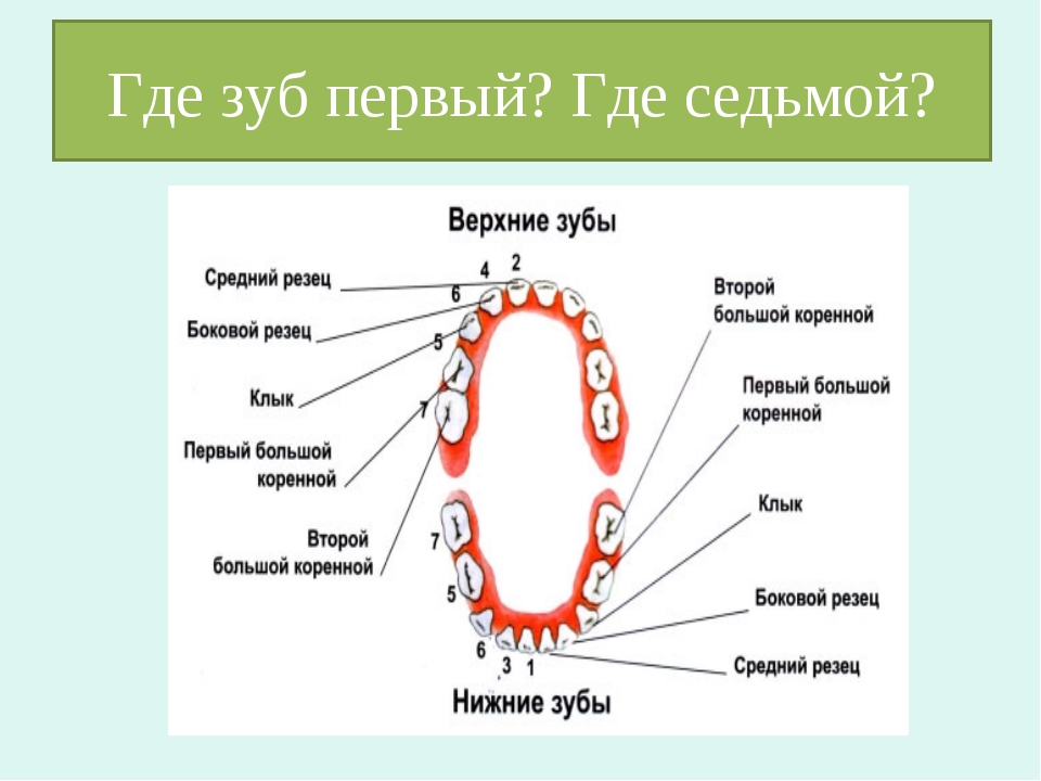 Где находится 8