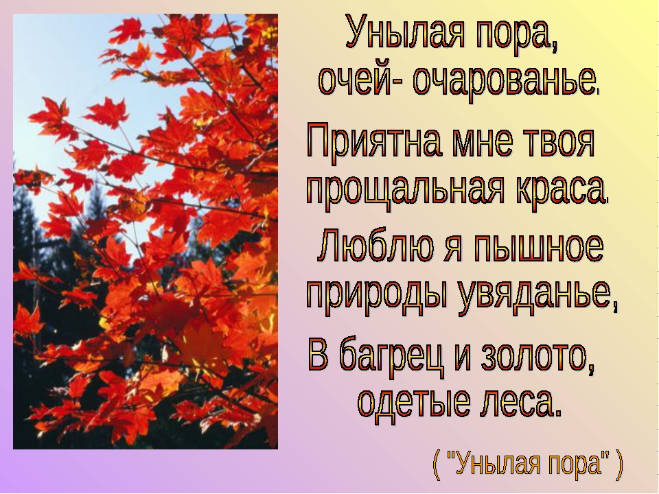 Стихотворение унылое. Стихотворение осенняя пора. Унылая пора очей очарованье приятна мне твоя прощальная Краса. Осенняя пора очей очарованье стихотворение. Люблю я пышное природы увяданье.