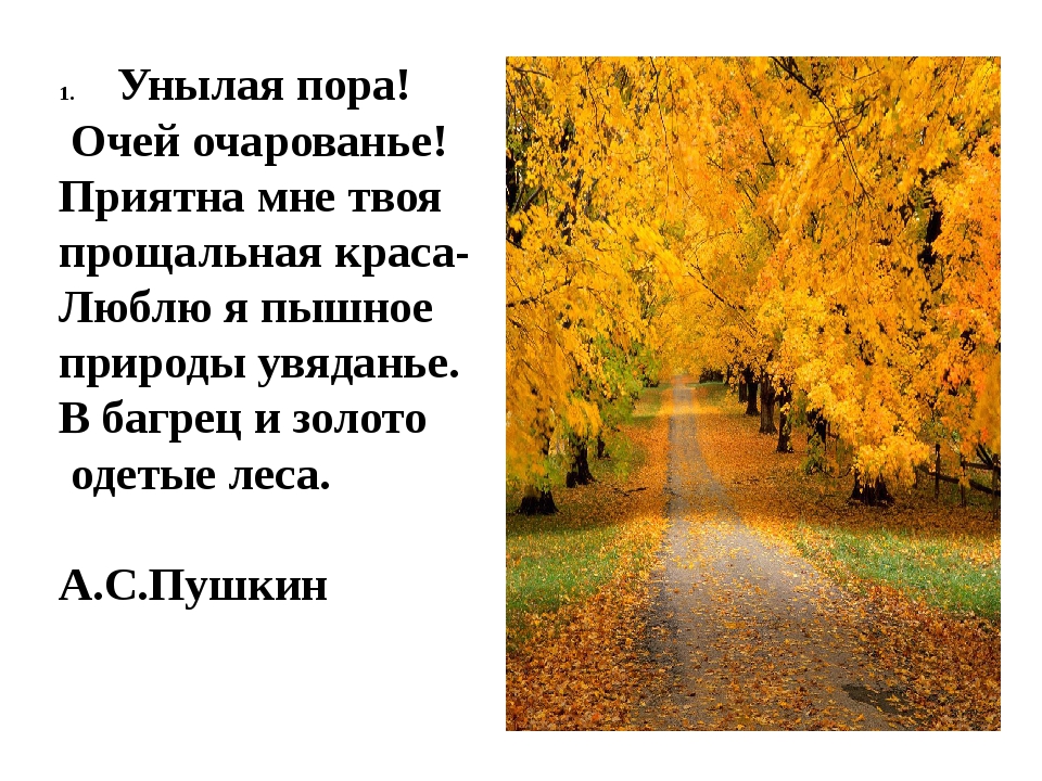 Стихотворение унылое. Стихотворение Пушкина унылая пора. Пушкин очей очарованье стихотворение. Унылая пора очей очарованье стихотворение Пушкина текст полностью. Пушкин унылая пора стихотворение.