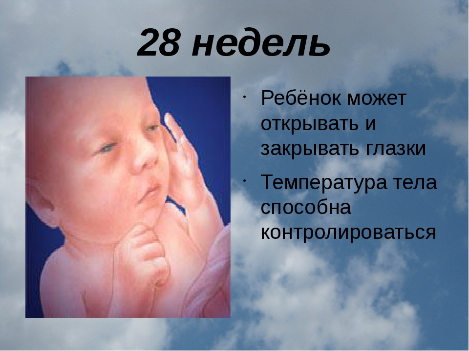 27 28 недель беременности