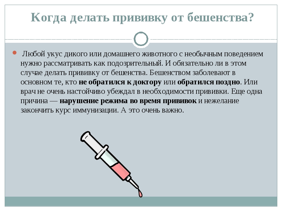 Нужно ставить прививку. Прививки от бешенства после укуса. Сроки прививки от бешенства. Прививка от бешенства после укуса собаки. Схема вакцинации от бешенства для человека после укуса.