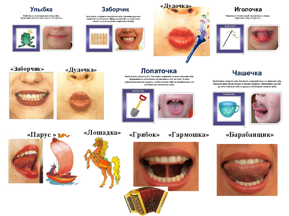 Улыбка артикуляционная гимнастика картинки