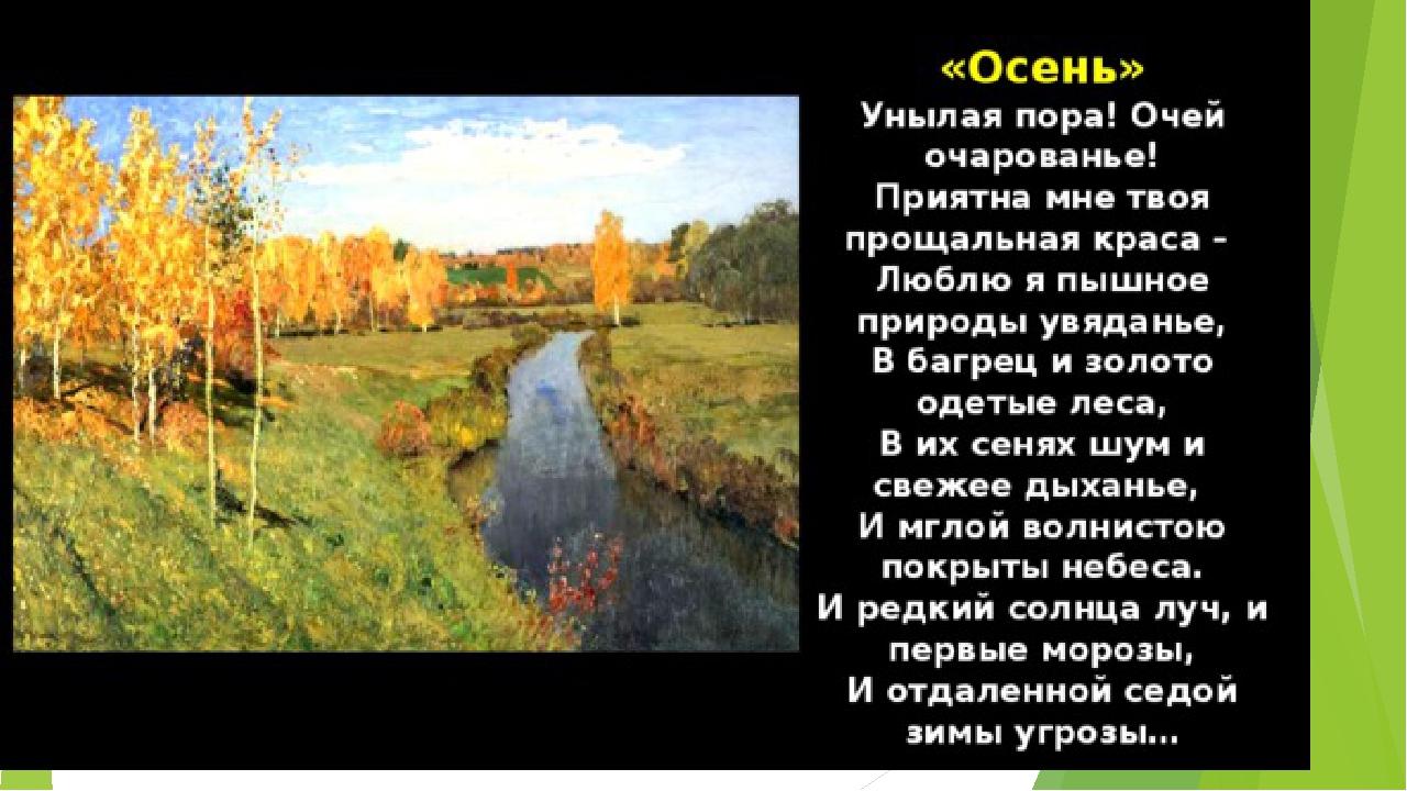 Природы увяданье пушкин. Пушкин люблю я пышное природы увяданье. Пушкин осень люблю я пышное природы увяданье. Люблю природы увяданье стихотворение. Иллюстрация к стихотворению осень Пушкин.