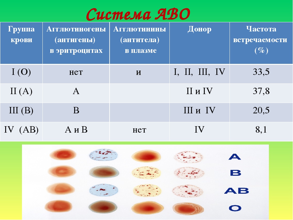 Ii группа rh. Таблица по группам крови агглютиногены и агглютинины. Группа крови и резус фактор 8 класс. Таблица взаимодействия групп крови. Группы крови 2 + 4 группа.