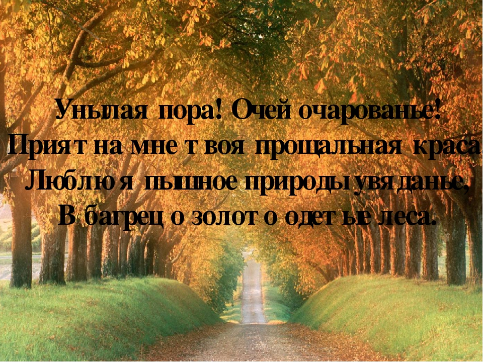 Унылые пора очарования. Есенин унылая пора. Стих прекрасная пора очей. Есенин очей очарованье. Фраза осенняя пора очей.