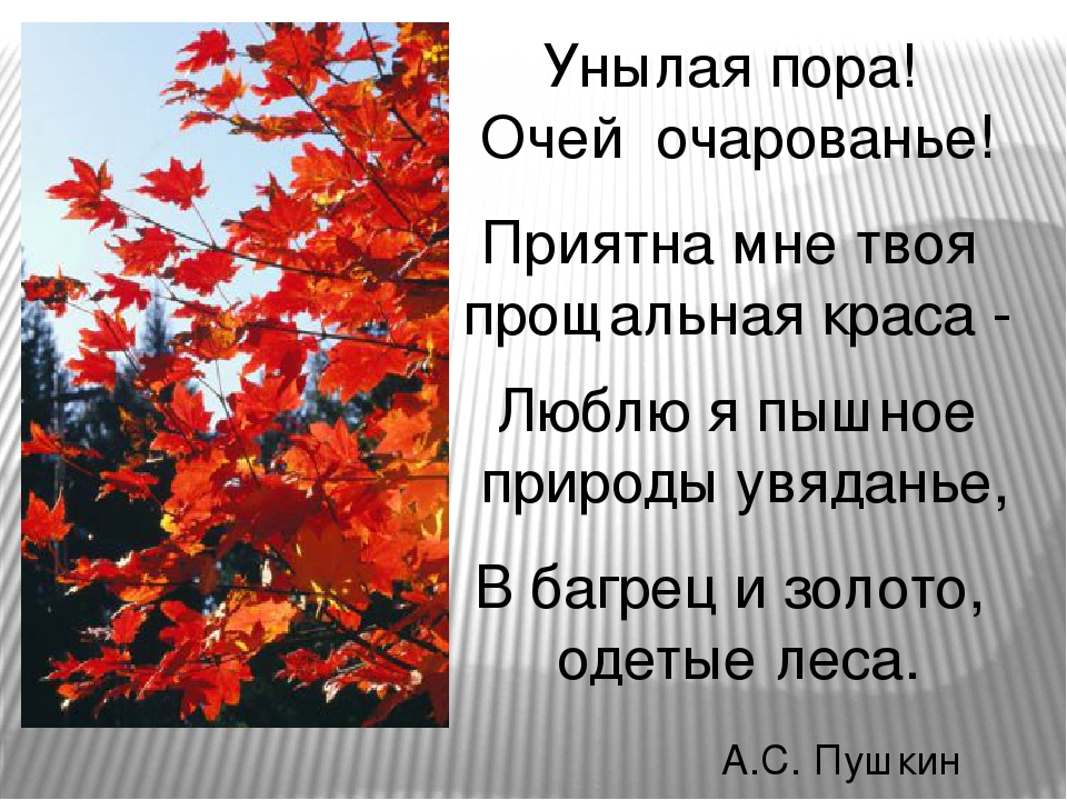 Стихотворение очей очарованье. Пушкин унылая пора очей очарованье приятна мне твоя прощальная Краса. Приятна мне твоя прощальная Краса. Приятна мне твоя прощальная Краса стих. Унылая пора.