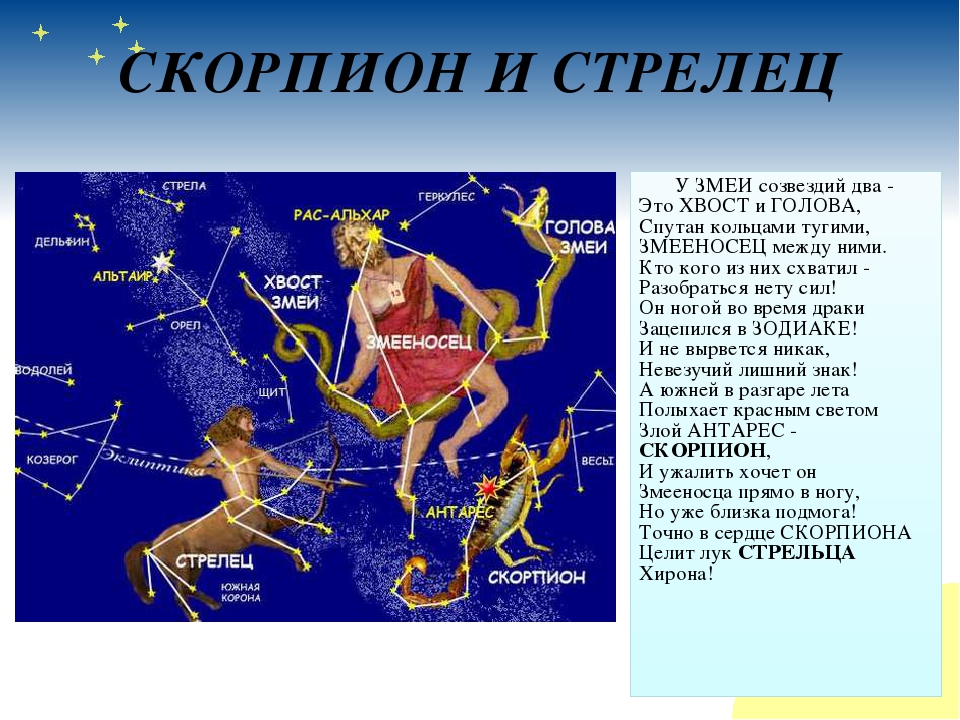 Гороскоп оракул на 2024. Созвездие стрельца и Змееносца. Созвездие стрельца и скорпиона. Созвездие Стрелец доклад. Созвездие Скорпион и Змееносец.