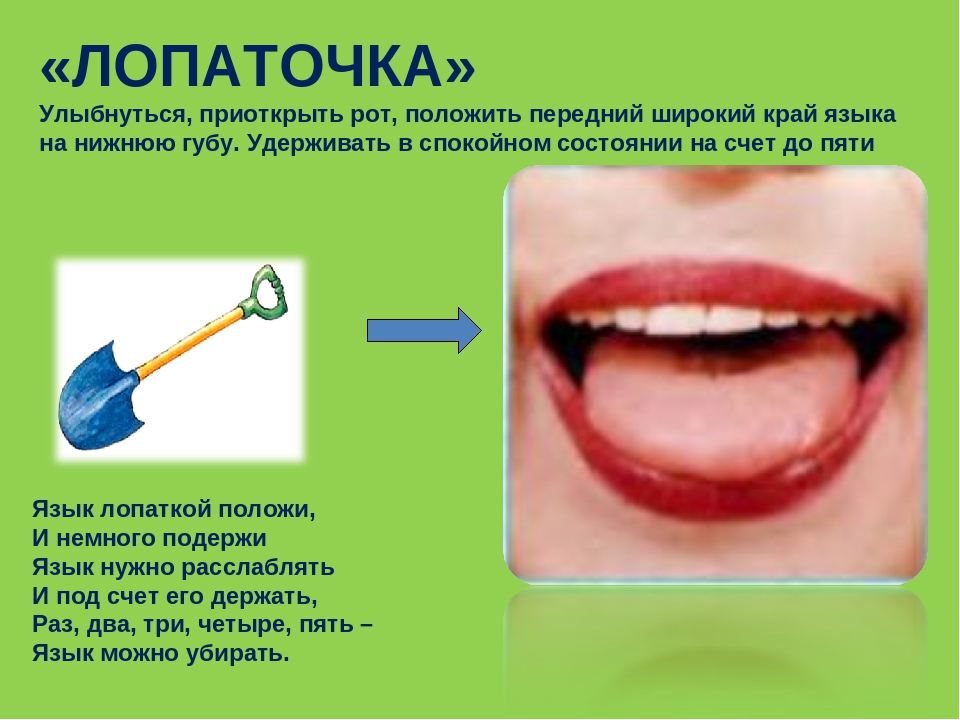 Лопаточка артикуляционная гимнастика картинки