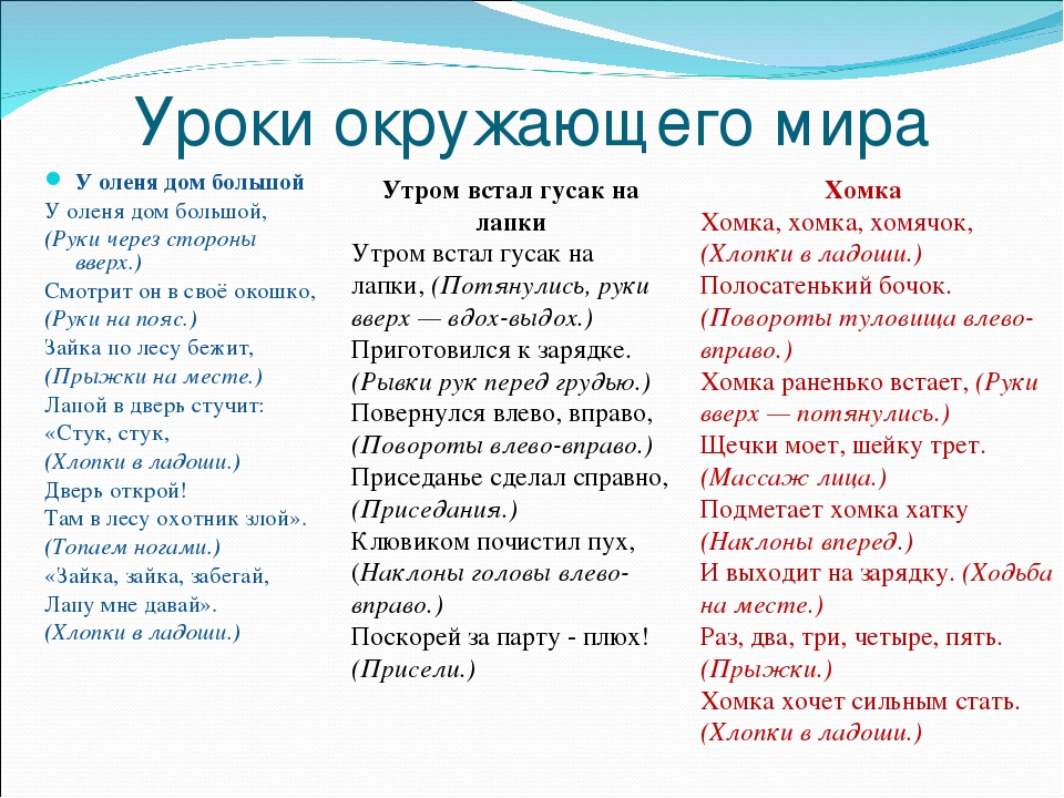 У оленя дом большой. Физкультминутка у оленя дом большой. Игра у оленя дом большой. У оленя дом большой текст.