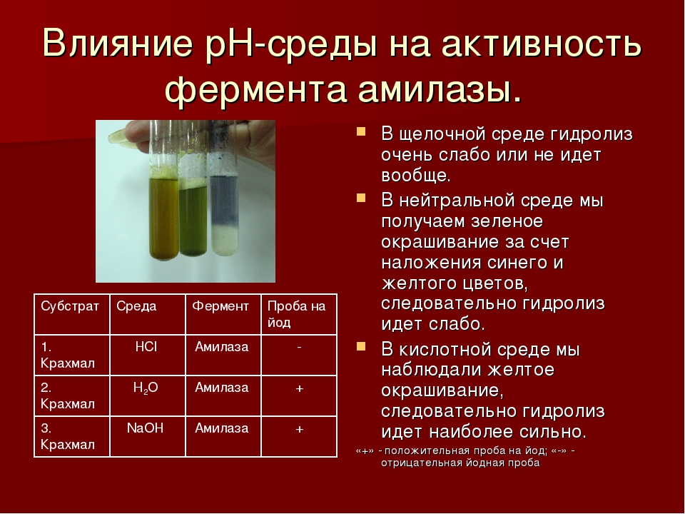 Слабощелочная среда ферменты. Влияние РН среды на активность амилазы. Влияние PH среды на активность амилазы. Влияние PH на активность ферментов амилазы. Активность амилазы слюны.