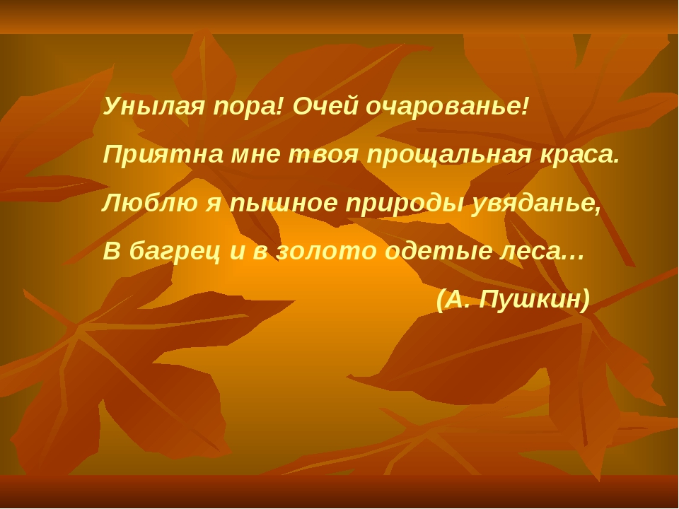 Стихотворение унылая пора. Пушкин унылая пора очей. Пушкин унылая пора очей очарованье. Стих унылая пора. Унылая пора очей очарованье стих.