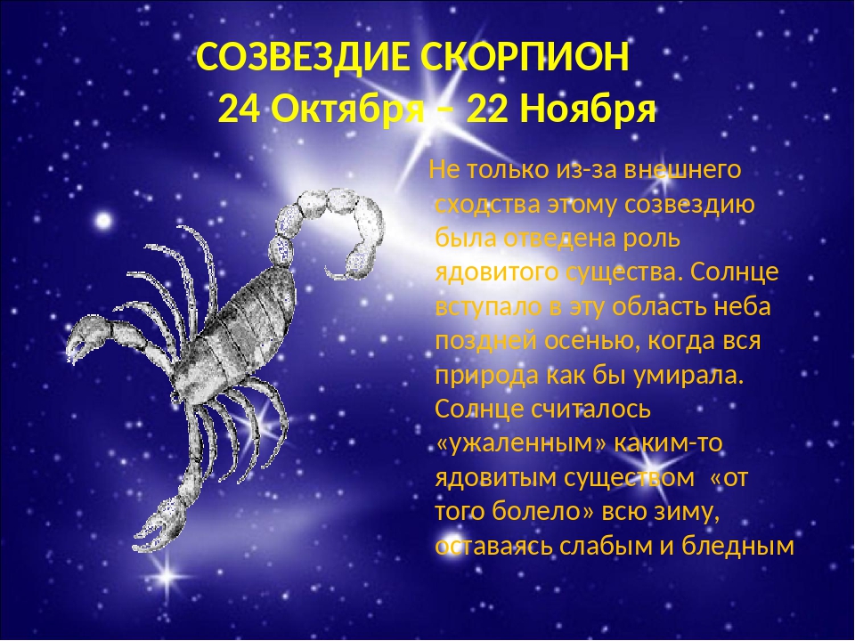 Гороскоп на 2024 скорпион мужчина. Зодиакальное Созвездие Скорпион. Скорпион знак зодиака Созвездие. Рассказ про знак зодиака Скорпион. Созвездие скорпиона описание.