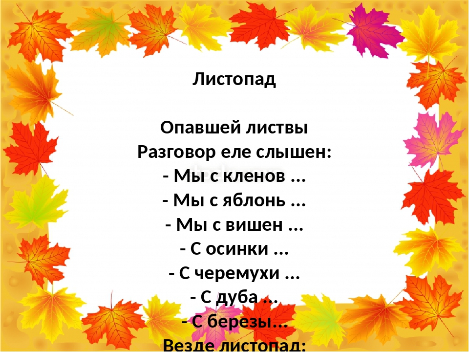 Группа листопад. Листопад опавшей листвы разговор еле слышен. Опавшей листвы разговор еле слышен мы с Кленов. Стихотворение листопад. Стих опавшей листвы разговор еле слышен.