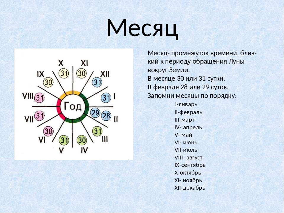 1000 суток в месяцах