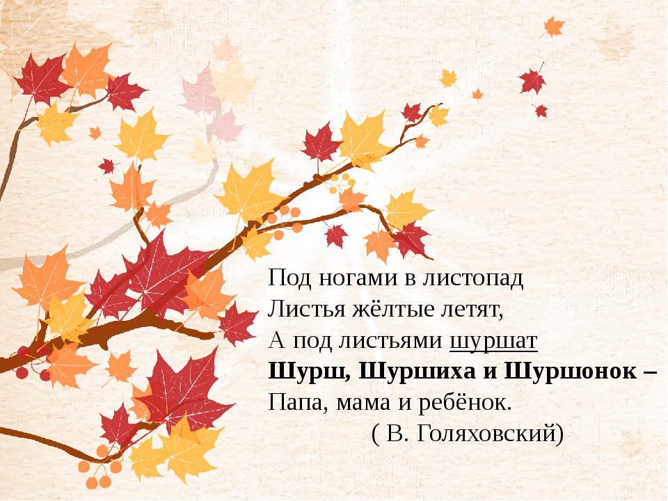 Листопад листопад желтые летят. Обложка Голяховский листопад. Под ногами в листопад листья. Листопад листопад листья желтые летят. Под ногами листопад листья желтые.