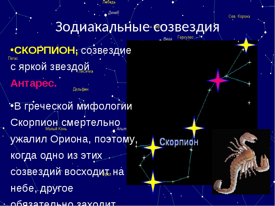 Гороскоп скорпион 2. Зодиакальное Созвездие Скорпион. Легенда о созвездии скорпиона. Скорпион знак зодиака Созвездие. Созвездие скорпиона для детей 2 класса.