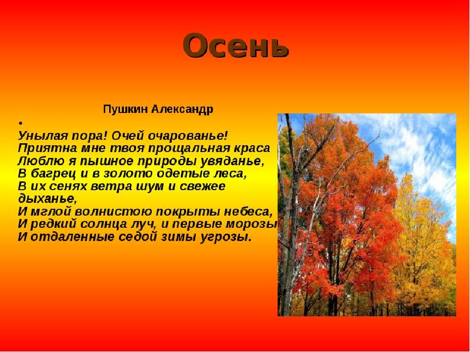 Пушкин люблю я пышное природы. Стих Пушкина в багрец и золото одетые леса. Люблю я пышное природы увяданье в багрец и золото одетые. Стих люблю я пышное природы увяданье. Пушкин осень унылая пора.