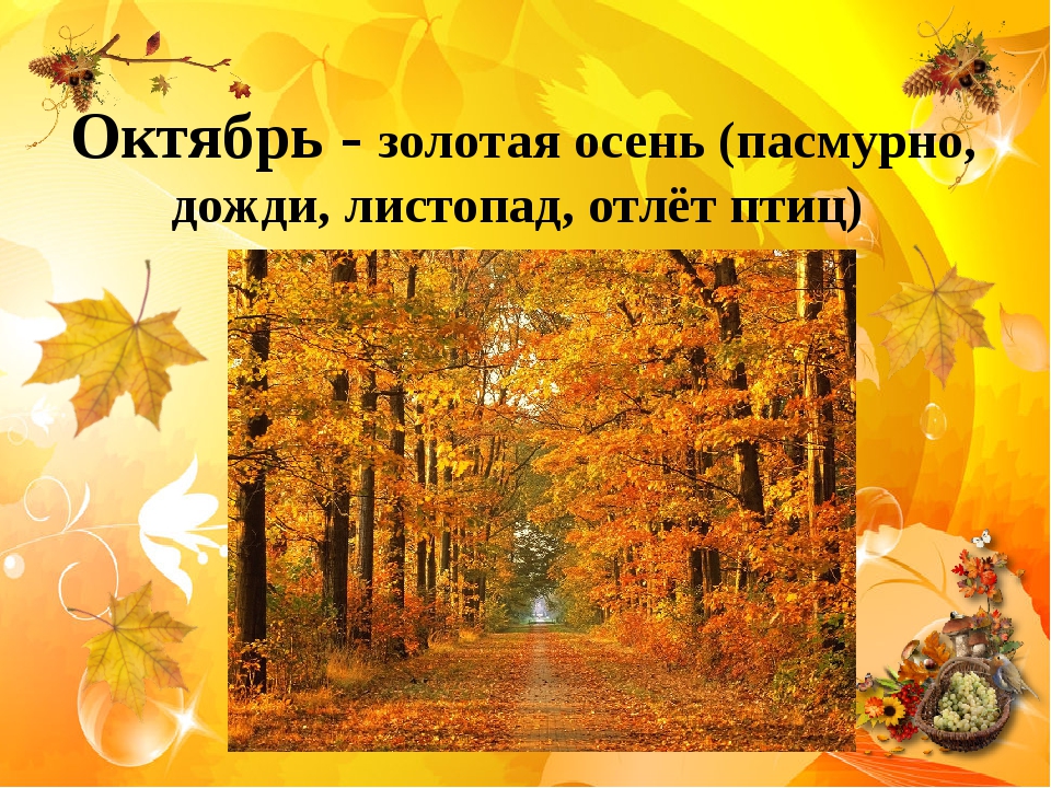 Песня золотая осень. Презентация на тему осень 3 класс. Проект про осень 3 класс. Проект Золотая осень 3 класс. Проект на тему осень 3 класс.