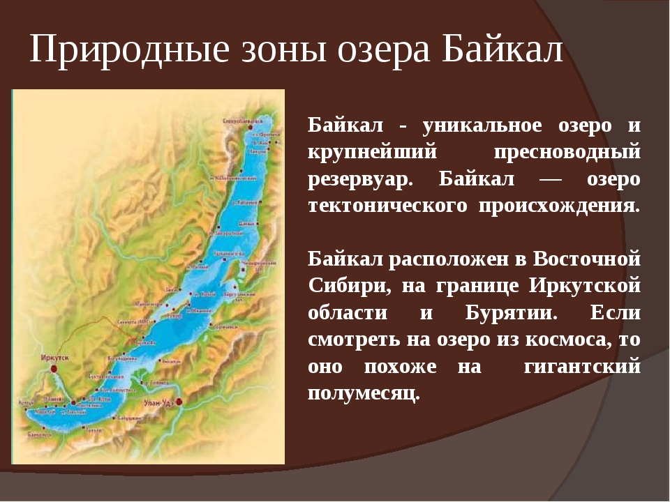 Описываем озеро по карте байкал 6 класс. Природные зоны Байкала. Байкальская природная зона. Природная зона Байкала природная зона. Байкальский заповедник природная зона.