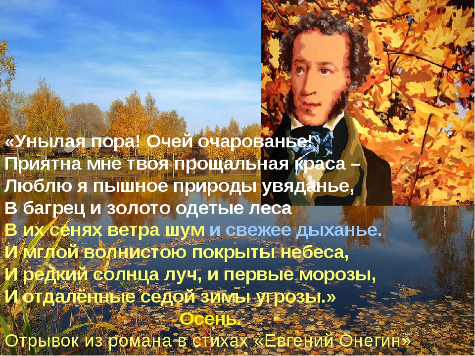 Эхо осень пушкин. Александр Сергеевич Пушкин очей очарование. Александр Сергеевич Пушкин унылая пора. Александр Сергеевич Пушкин осенняя пора. Стих Пушкина унылая пора очей очарованье.