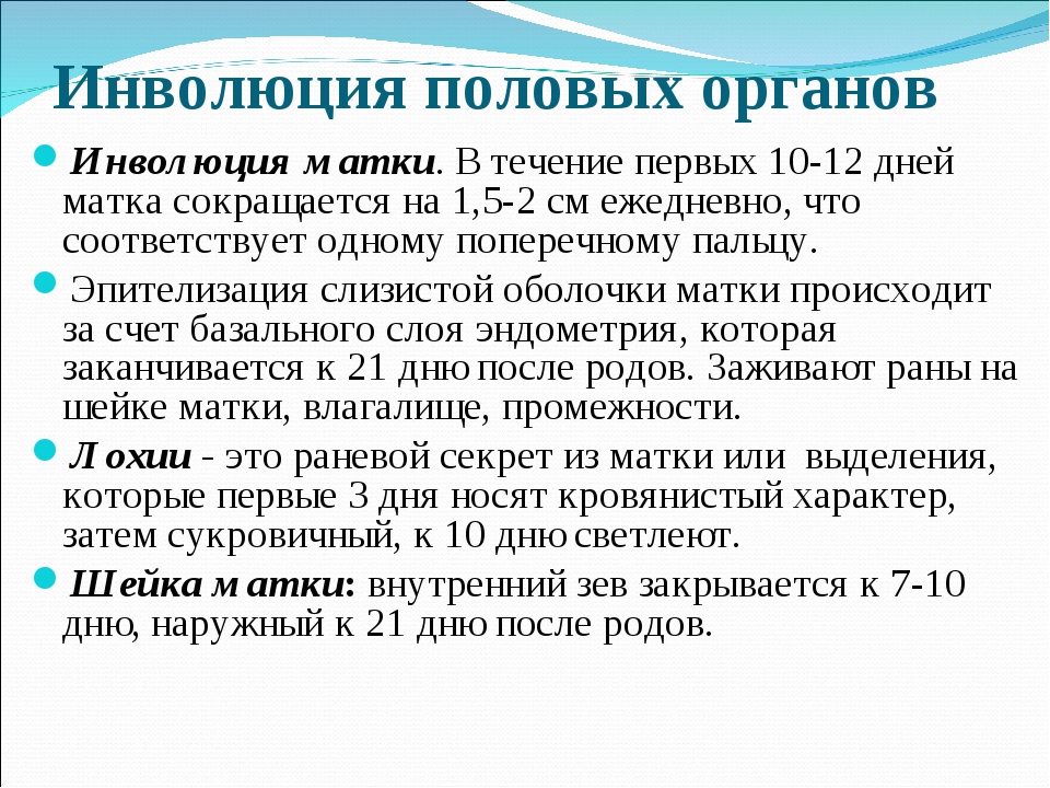 Как восстанавливается матка. Инволюция матки в послеродовом периоде. Инволюция половых органов в послеродовом периоде. Инволюция матки в послеродовом периоде по дням. Оценка инволюции матки в послеродовом периоде.