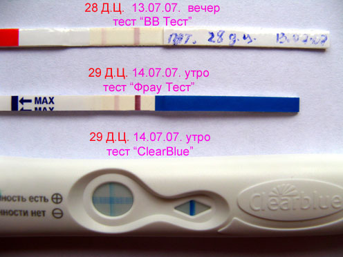 Тест утро. Тест на беременность по дням цикла. Тесты по дням цикла. 28 День цикла тест на беременность. Тест на беременность на 32 день цикла.